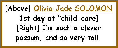 Text Box: [Above] Olivia Jade SOLOMON1st day at child-care][Right] Im such a clever possum, and so very tall.